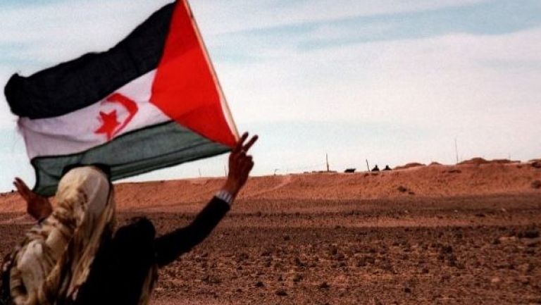 المؤسسة الأمريكية من أجل الصحراء الغربية تطالب بإلغاء قرار ترامب