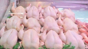 مبادرات لضبط أسعار اللحوم البيضاء في رمضان