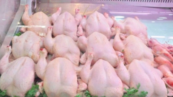 مبادرات لضبط أسعار اللحوم البيضاء في رمضان