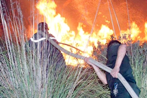 ألسنة النيران تلتهم حقول القمح