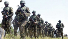 أكبر هجوم عسكري تشادي ـ نيجري ضد &quot;بوكو حرام&quot;