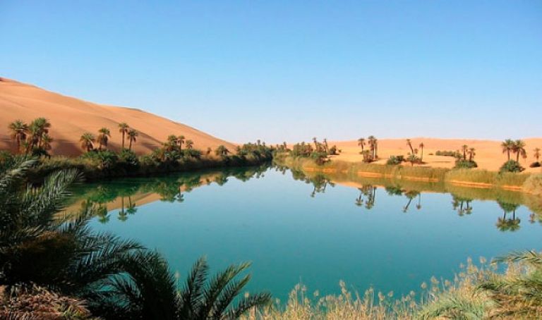 "رادو" تعرض مشروع دعم الفاعلين المحليين