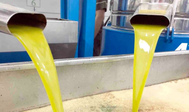 ضرورة الفهرسة لتطوير الشعبة