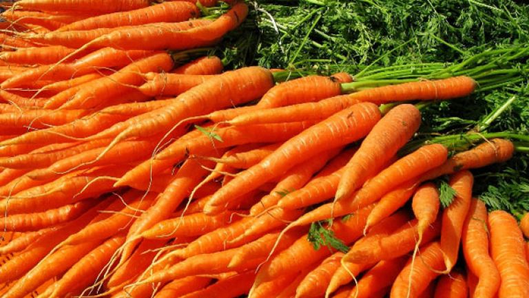 منتجو الجزر يطالبون بترخيص لنقل سلعهم