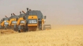 استعدادات مبكرة لضبط حملة الحصاد