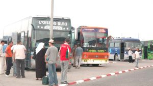 &quot;سوغرال&quot; توفّر 200 حافلة إضافية بمناسبة العيد