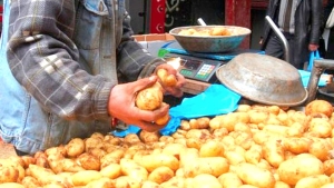 نحو تراجع أسعار البطاطا مع نهاية نوفمبر