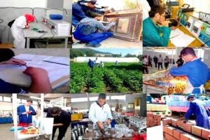 7 آلاف متربص جديد بمختلف التخصصات