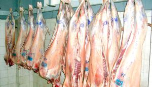 إنتاج 52 ألف طن من اللحوم الحمراء والبيضاء