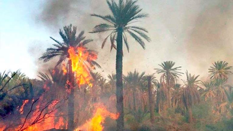 دعوة إلى تفعيل الآليات القانونية