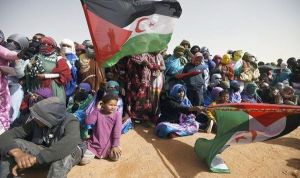 مؤسسة أمريكية تدعو إلى وضع حد لاحتلال الصحراء الغربية