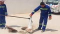 بدون تعليق