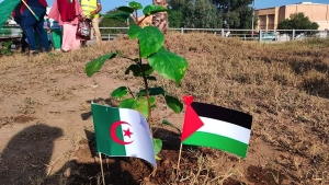غرس 14523 شجرة.. بعدد شهداء غزة
