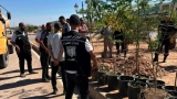 غرس 90 شجيرة بالمحطة البرية ببن داود