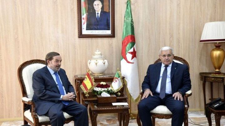 تعزيز التعاون والشراكة مع إسبانيا في مختلف المجالات