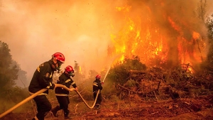 رصد نقاط المياه والمسالك الغابية