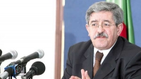 نتبنى خيارات الرئيس حول الدستور