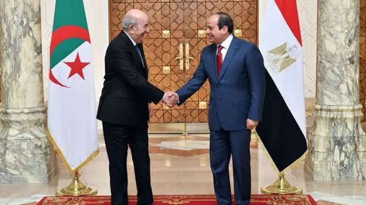 الجزائر– مصر.. نضال مشهود في سبيل الأمة