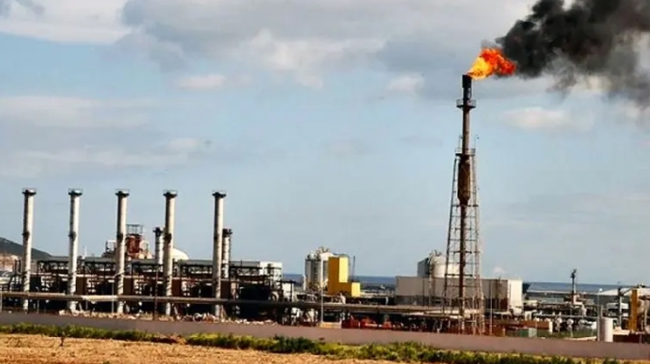 الجزائر ضمن الرواد الأفارقة لتزويد العالم بالطاقة