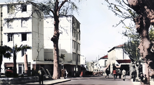 مدينة شرشال