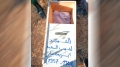 استخراج رفات 9 شهداء