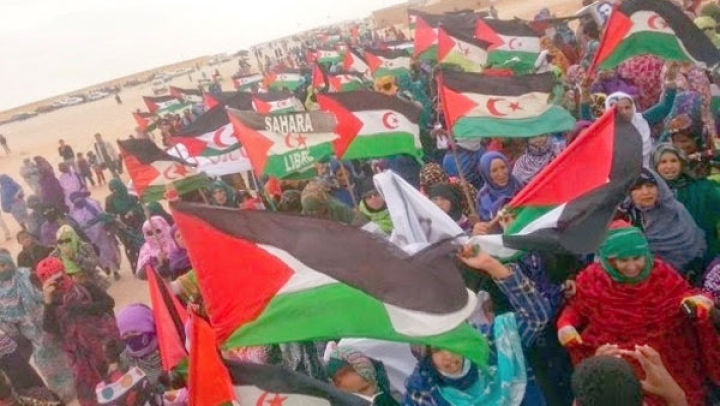 "الأندبندنتي" الإسبانية تفضح انتهاكات المحتل المغربي