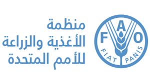 الجزائر تكثف محاربتها للصيد غير القانوني في المتوسط