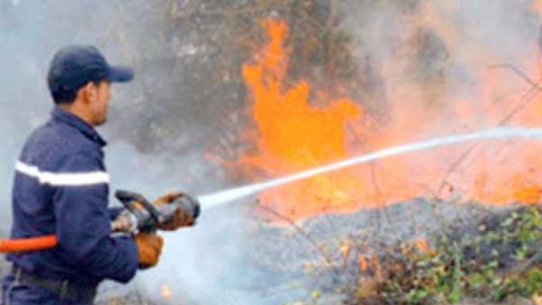 إتلاف 3800 شجرة مثمرة بسبب الحرائق