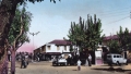 مدينة العلمة