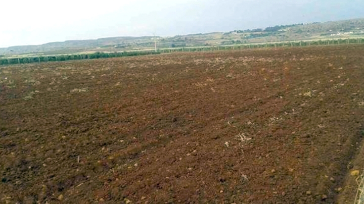 494 ملف للتنازل عن الأراضي الفلاحية بوهران