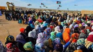جنوب إفريقيا تجدد دعمها لحق الشعب الصحراوي في تقرير مصيره