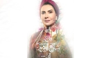 "من شارع الهرم إلى" يثير الغضب