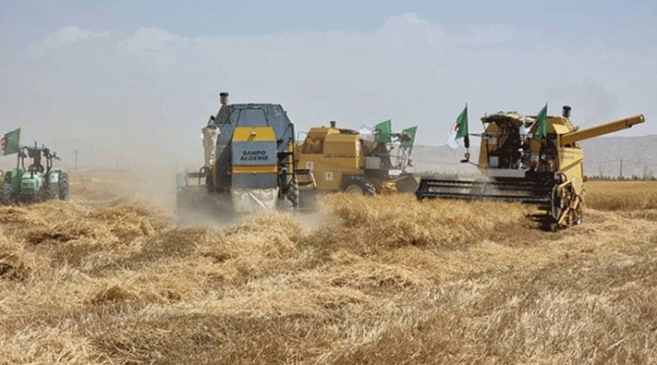 انطلاق حملة الحصاد والدّرس ببسكرة