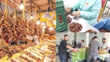التصدير.. رهان تثمين التمور البسكرية