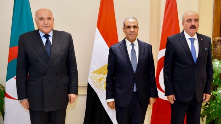 مقاربة الجزائر مرجعية الآلية الثلاثية لإنهاء الأزمة الليبية