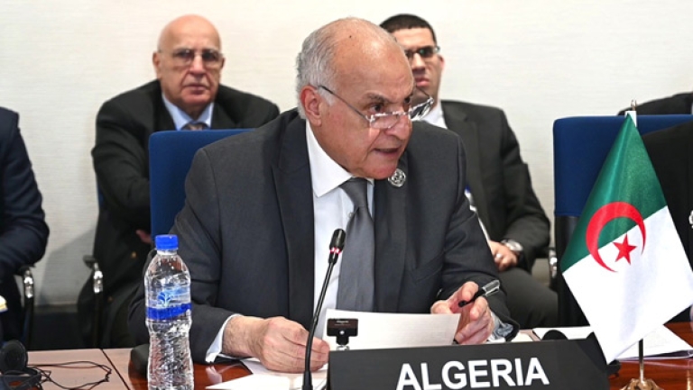 الجزائر تطالب بمراعاة الكفاءة في انتخابات المفوضية الإفريقية