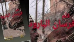 مشاركة "فرسان البارود" في مهرجان القدس