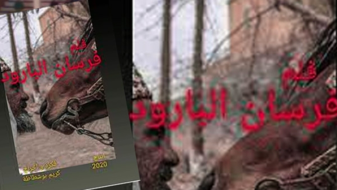مشاركة "فرسان البارود" في مهرجان القدس