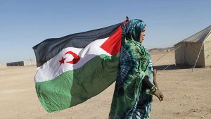 الصحراء الغربية.. حقوقيون: لا بديل عن تقرير المصير