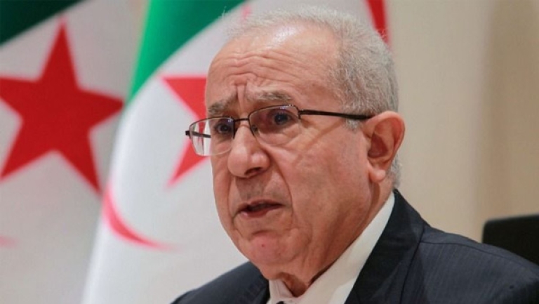 الرئيس تبون ملتزم بمرافقة الجالية الجزائرية