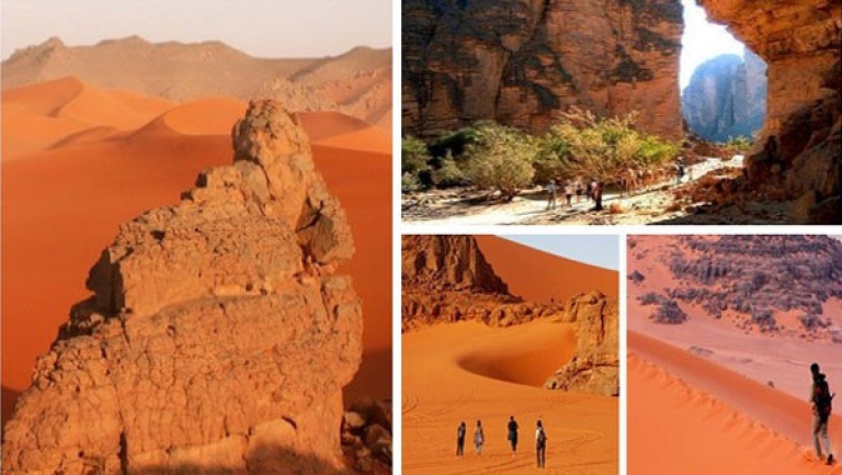 الرئيس تبون يولي عناية خاصة لتنمية المناطق الريفية والجبلية