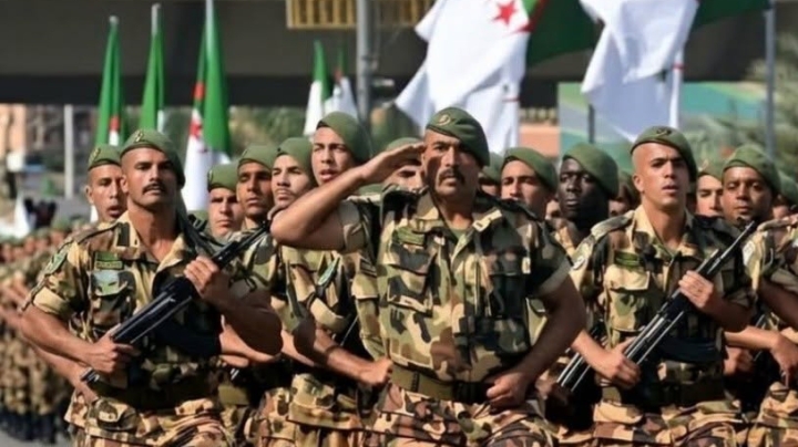 إرسال وحدات عسكرية جزائرية إلى النيجر