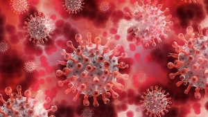 مرافعة للكشف المبكر عن التهاب الكبد الفيروسي