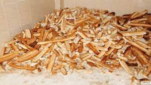 جمع الخبز اليابس.. مهنة تحفظ "نعمة ربي"