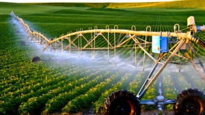 49 مؤطرا لجرد قدرات 8 آلاف مستثمرة فلاحية