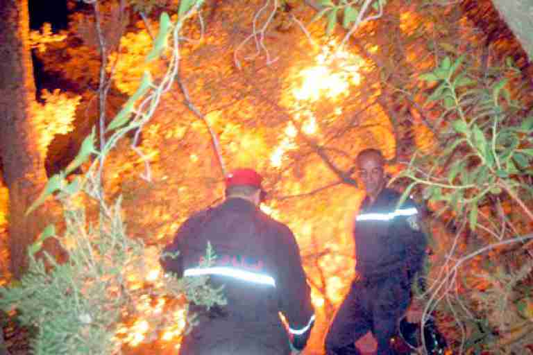 821 حريقا يتلف 6276 هكتارا ما بين الفاتح جوان و19 جويلية