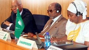 مجلس السلم الإفريقي يطالب بتفعيل البند السابع لميثاق الأمم المتحدة