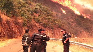 مصالح الدولة في مهمة بلوغ "صفر حرائق" هذا الصيف