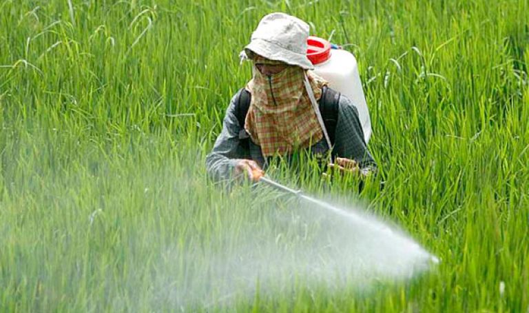 مديرية حماية النباتات تسعى لتقليص استعمال المبيدات