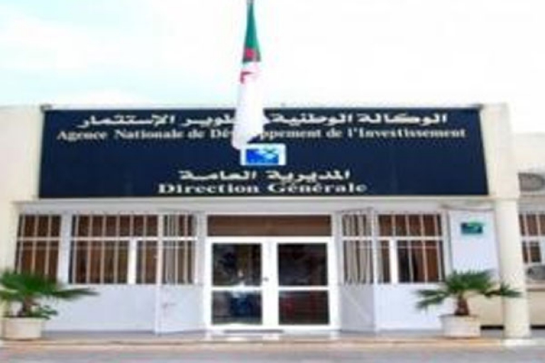 تسيير لامركزي، مرافقة المشاريع وتنمية الاقتصاد المحلي